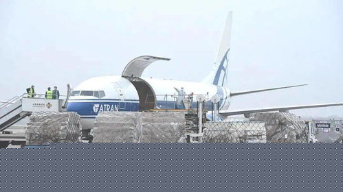 品質生活，觸手可及——日用品正式開通